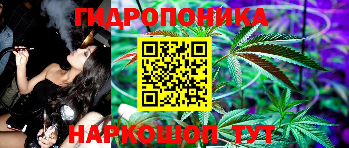 Каннабис семена Тобольск